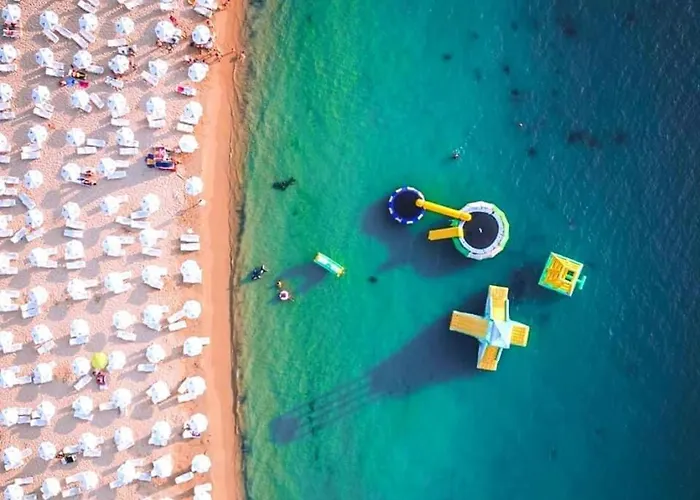 Family Teos Китен